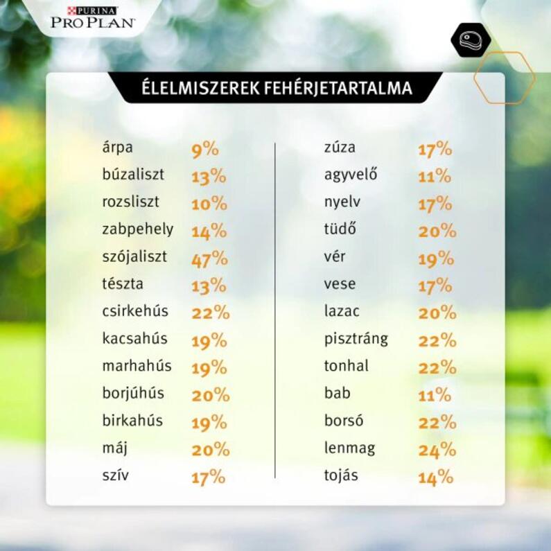 élelmiszerek fehérjetartalma