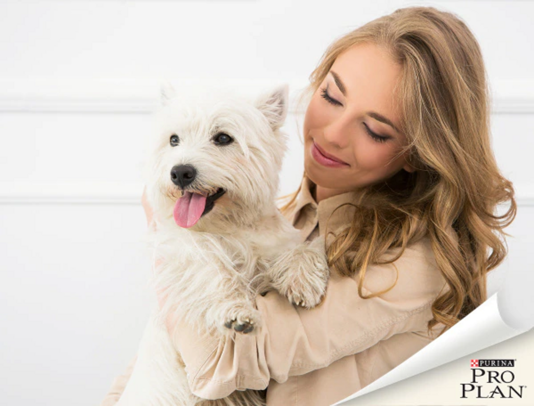 nő westie kutyáját boldogan tartja karjaiban
