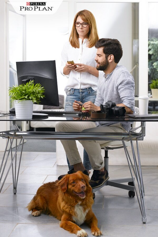 férfi és nő irodában kutyával