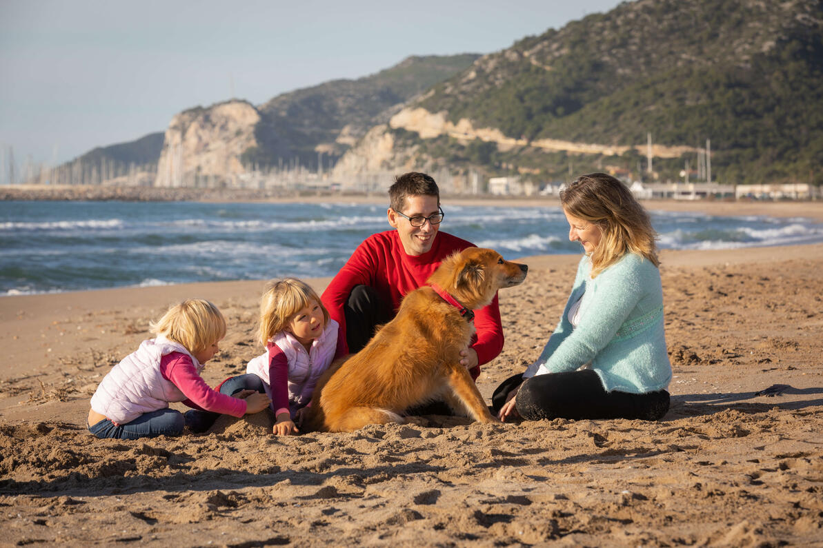 golden retriever gazdáival családdal a tengerparton