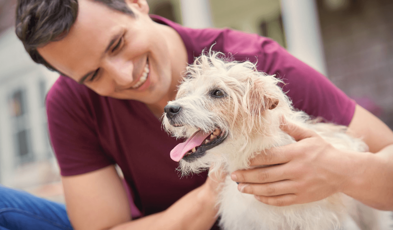 férfi boldog kistestű drótszőrű kutyájával