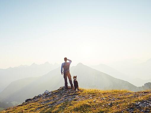 Előző Purina a társadalomban (PinS) vállalásaink