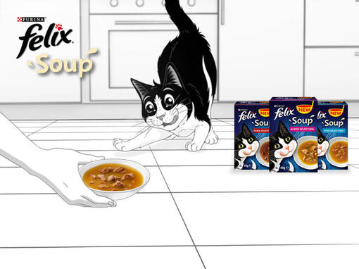 Felix Soup termékfotó és Felix grafika