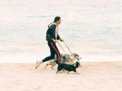 fiatal nő tengerparton fut két kutyájával