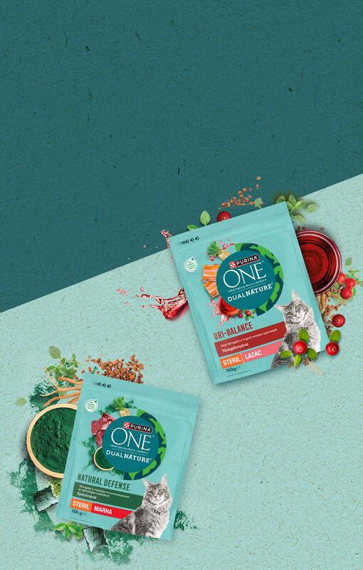 Purina One DualNature