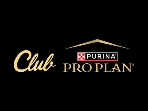PRO PLAN Club logo hírlevél feliratkozás