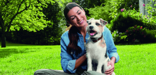 kistestű terrier gazdája ölében kertben