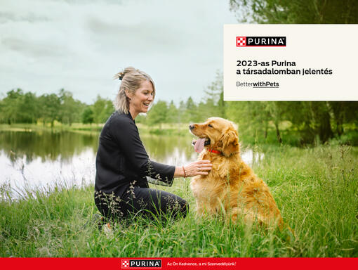 golden retriever gazdájával boldogan a természetben